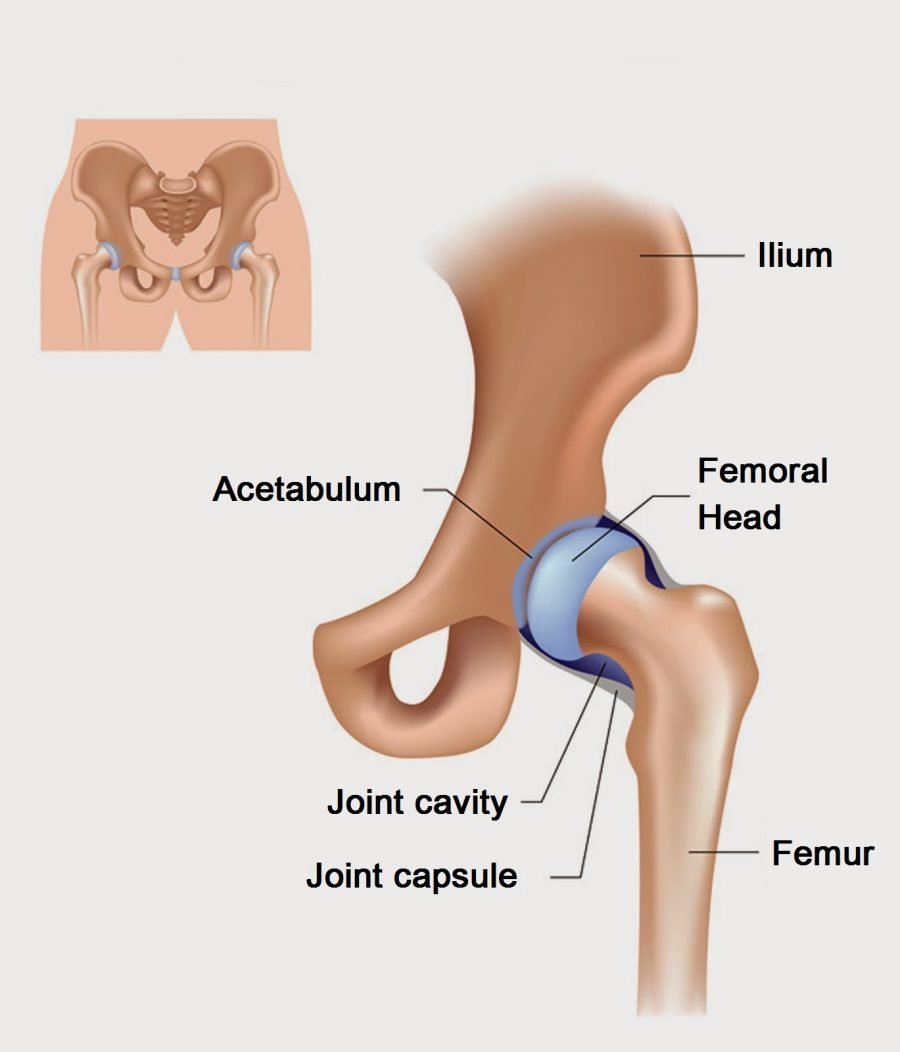 Main Causes Of Hip Pain