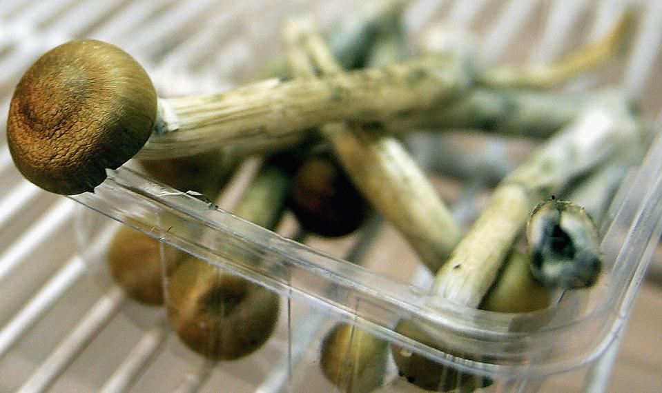 Why More People Prefer to buy magic mushrooms online