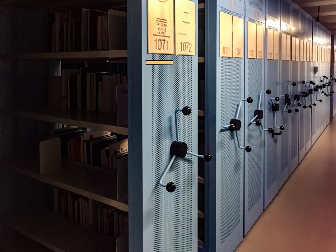 The Growing Importance of Digital Archives in Enhancing Online Entertainment Discovery