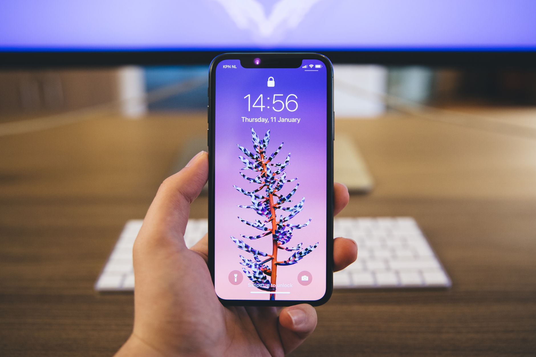iPhone Fold release date